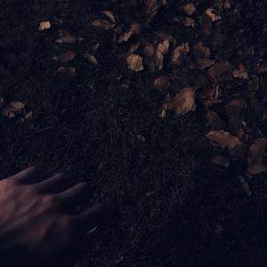 欧美激情舔逼另类
